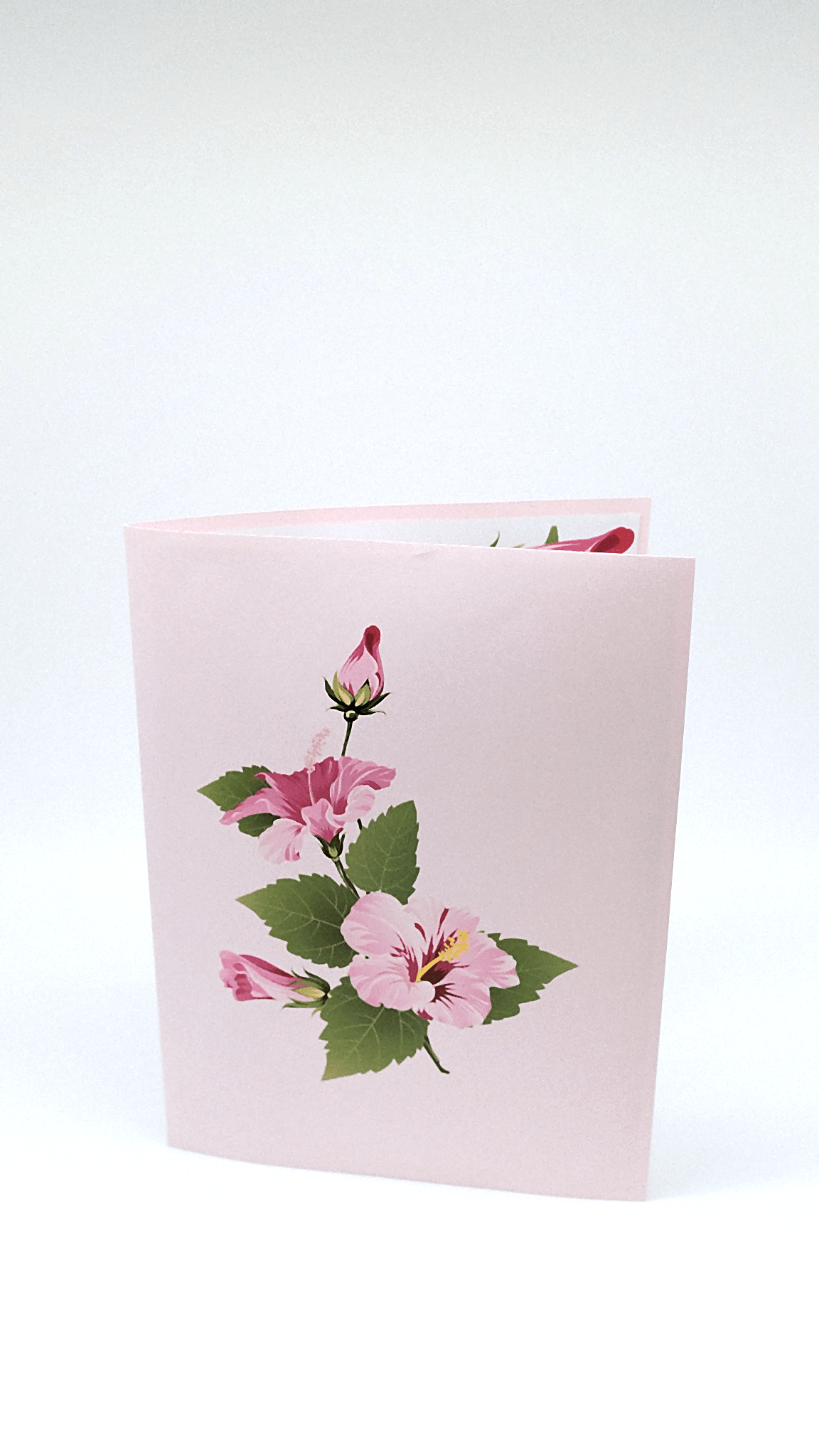 Hummingbird & Hibiscus Flower Pop Up Card - The Card Corner