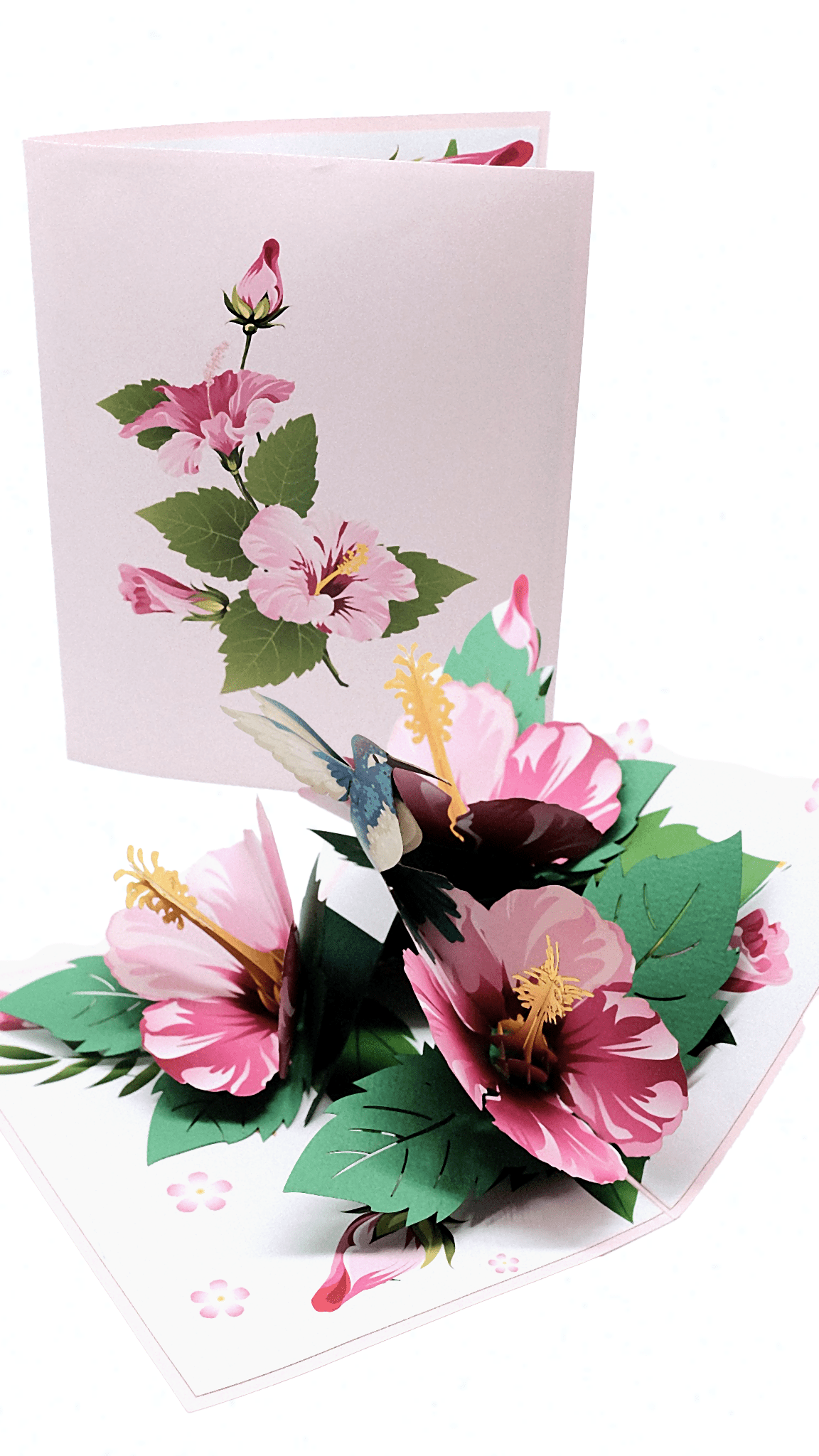 Hummingbird & Hibiscus Flower Pop Up Card - The Card Corner